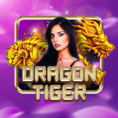 Dragon Tiger OK Bet